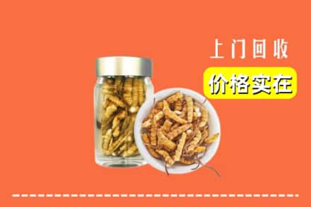 收购资讯:黔西南州望谟回收散虫草