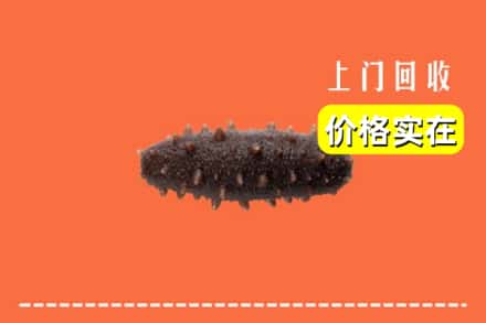 收购资讯:黔西南州望谟回收海参