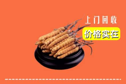 黔西南州望谟回收冬虫夏草