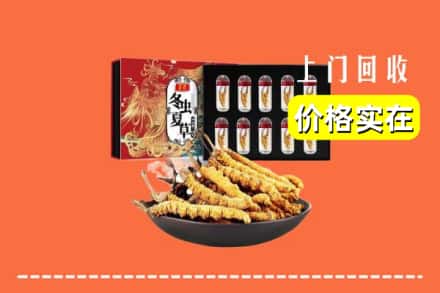 黔西南州望谟回收虫草
